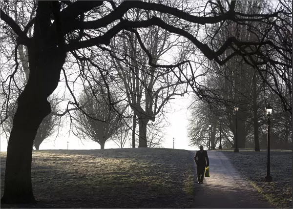 A man walks along a frosty path in Primrose Hill in north London