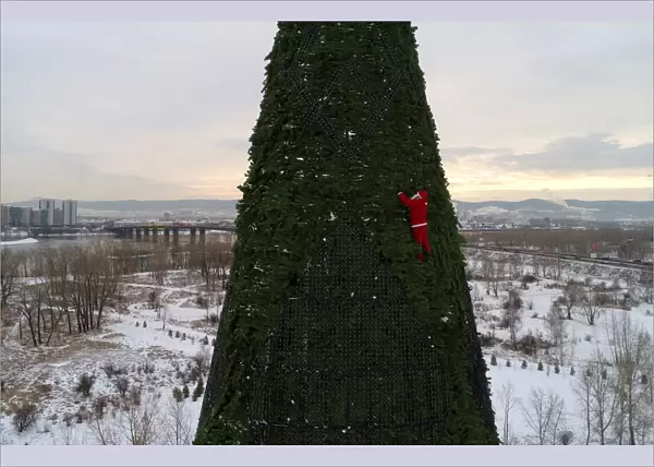A climber dressed as Santa Claus decorates a Christmas tree in Krasnoyarsk