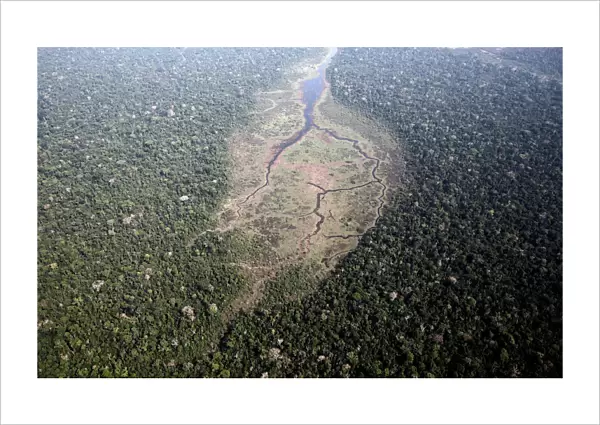 An aerial view of the Bom Futuro National Forest near Rio Pardo in Porto Velho