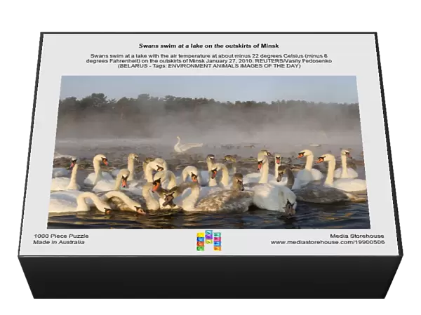Swans swim at a lake on the outskirts of Minsk