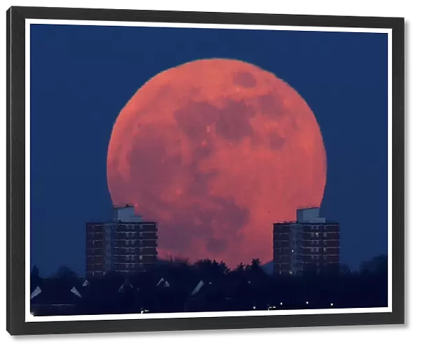A full moon rises behind blocks of flats in north London