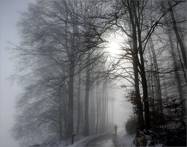 A man walks with his dog through a forest during a foggy morning in Bern
