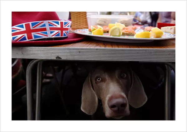 A dog looks out from beneath a table of food as residents gather together in the main