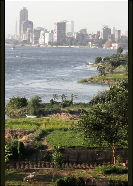 Hotels and houses are seen near the River Nile and fields on the outskirts of Cairo