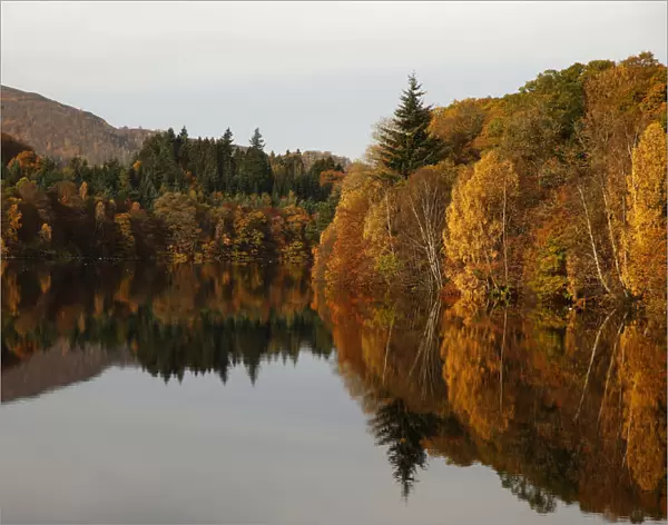 Autumn leaves are reflected in Loch Faskally in Pitlochry