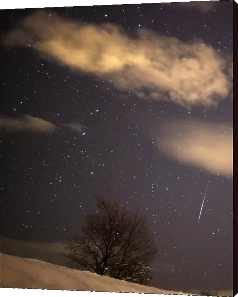 A meteor streaks past stars in the night sky over the village of Pesevici