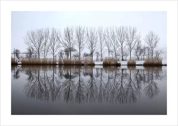 Trees are reflected in the water of a lake near the village of Etyek