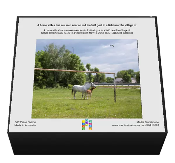 A horse with a foal are seen near an old football goal in a field near the village of