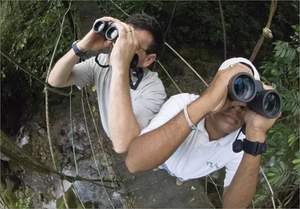 Birding in foothill rainforest El Valle Panama