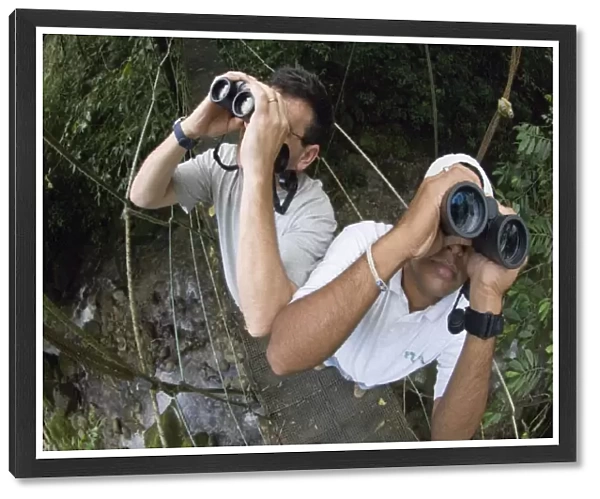 Birding in foothill rainforest El Valle Panama