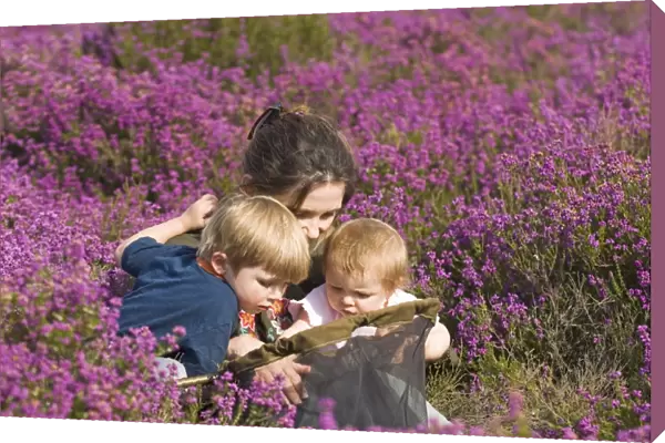 Mother and kids on heath in summer looking at insects in butterfly net Norfolk UK