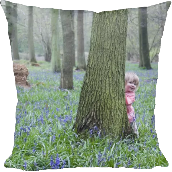 Toddler (young girl) peering around tree in Bluebell wood Bucks UK April