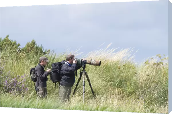 Bird photographers at Titchwell RSPB Reserve Norfolk July (unreleased)