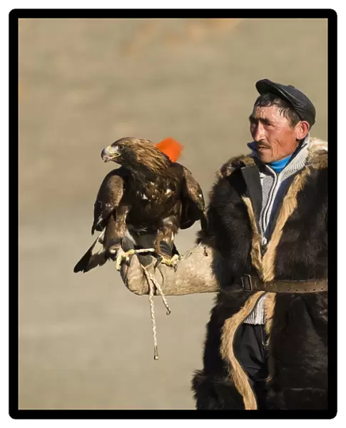 Kazakh eagle hunter with his Golden Eagle Uglii in Altai Mountains western Mongolia