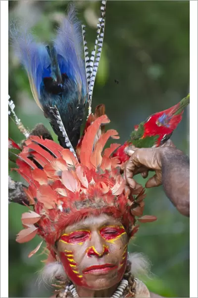 Jika tribal dancer having her head dress prepared Paiya Sing-sing Western Highlands
