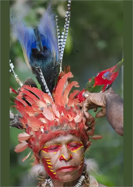 Jika tribal dancer having her head dress prepared Paiya Sing-sing Western Highlands