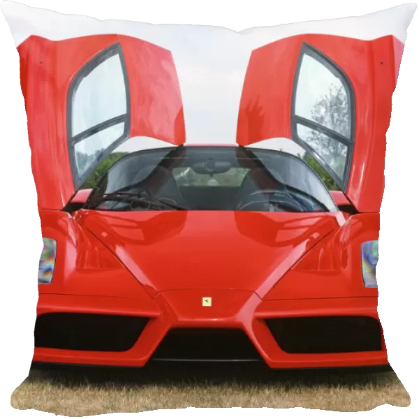 Ferrari Enzo Italy