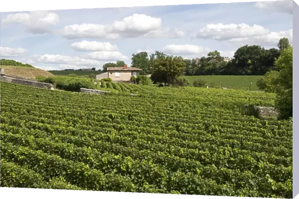 View over vineyards around the town of St Emilion in the Bordeaux Region of France