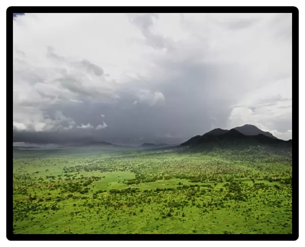 View of savannah habitat, Tsavo West N. P. Kenya, December