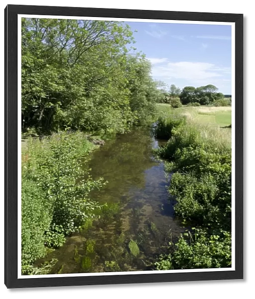 Chalk stream habitat, River Stiffkey, Norfolk, England, August
