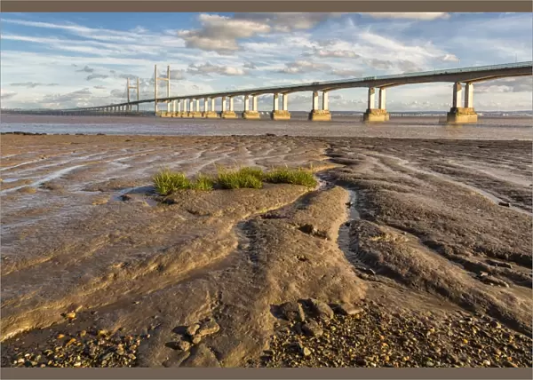 View of road bridge over river, viewed from Divers Rock at Sudbrook, Second Severn Crossing, River Severn