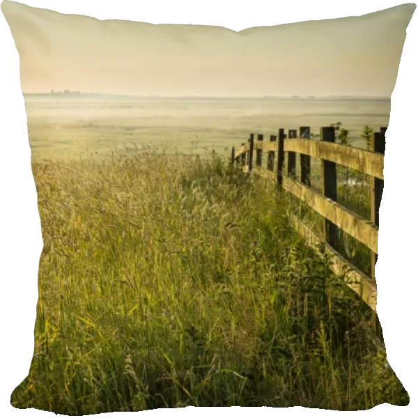 View of coastal grazing marsh at sunrise, Elmley Marshes N. N. R. North Kent Marshes, Isle of Sheppey, Kent, England
