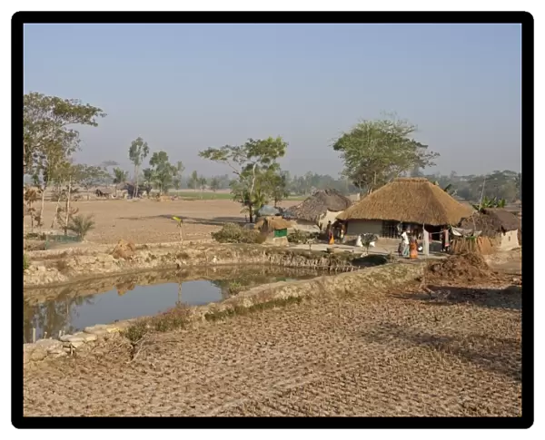 Village water storage pond, house and subsistence fields, Sundarbans, Ganges Delta, West Bengal, India, March