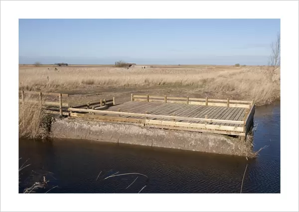 New pond-dipping platform in coastal marshland, Cley Marshes Reserve, Cley-next-the-Sea, Norfolk, England, February