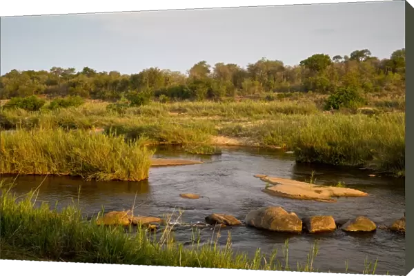 View of river flowing along edge of reserve, Sabie River, Lower Sabie Reserve, Kruger N. P