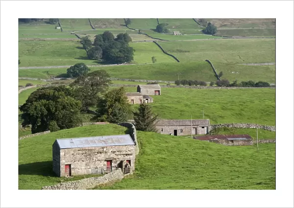 View of drystone walls and stone barns in farmland, Hawes, Wensleydale, Yorkshire Dales N. P