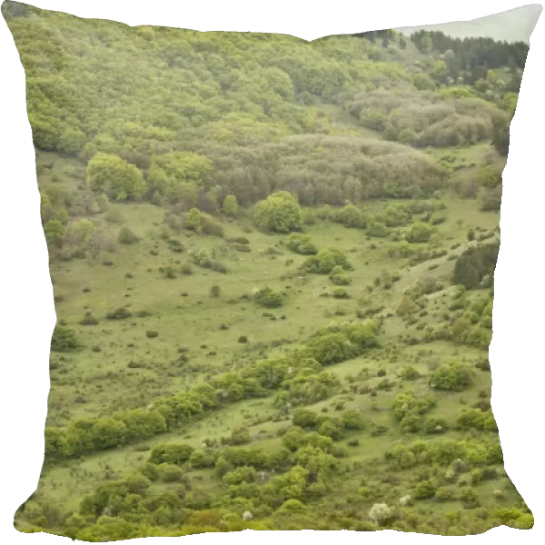 View of prime Marsican Brown Bear (Ursus arctos marsicanus) habitat, below bear-watching point, Gioia Vecchio