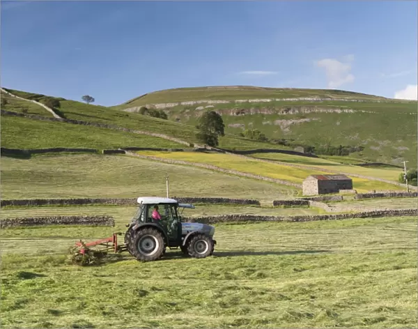 Hurlimann tractor with tedder, turning hay in upland meadow, Muker, Swaledale, Yorkshire Dales N. P
