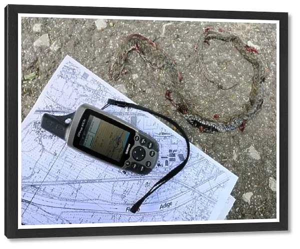 GPS mapping of Dice Snake (Natrix tessellata) dead adult, roadkill providing useful hints on elusive animal presence in given area, Italy, april