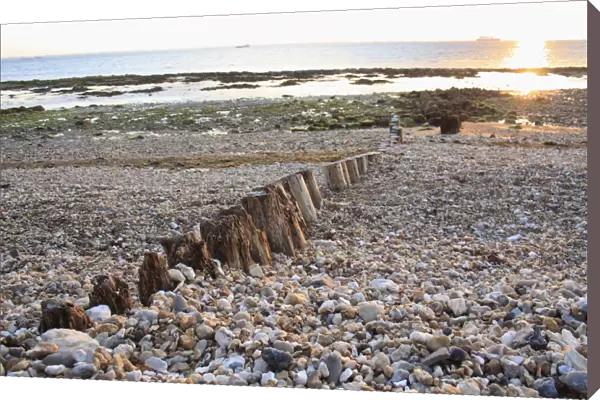 Remains of breakwater on beach with incoming tide at dawn, Bembridge, Isle of Wight, England, june