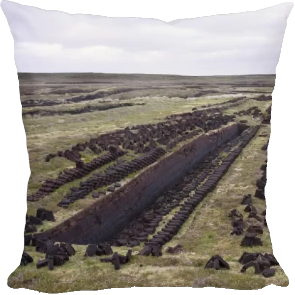 Peat cuttings, seam cut through peat, Mainland, Shetland Islands, Scotland, june