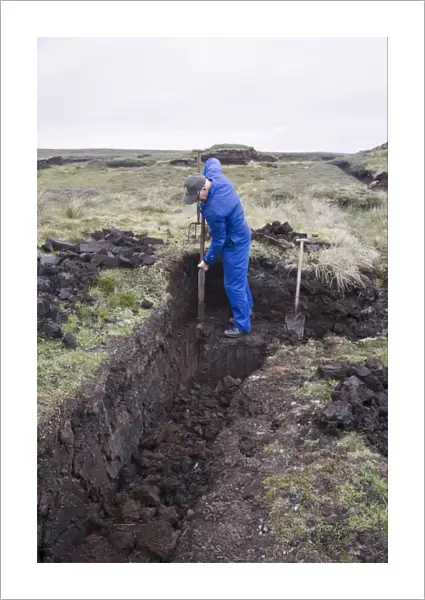 Peat cuttings, islander cutting seam through peat, Mainland, Shetland Islands, Scotland, june