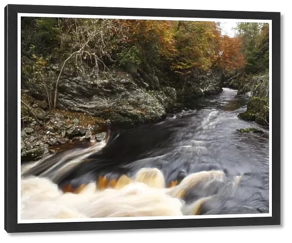 River flowing through wooded gorge habitat, Rocks of Solitude, River North Esk, near Edzell, Angus, Scotland, october