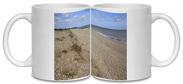 Coastal vegetated shingle, relict storm beach ridge and beach habitat, The Haven, Thorpeness, Suffolk, England