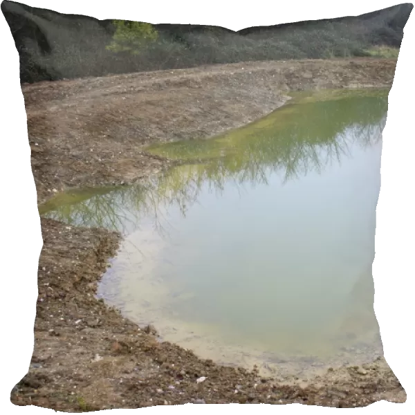 Newly dug pond at edge of arable farmland, Millenium Ponds Project, Grove Farm Reserve, Thurston, Suffolk, England