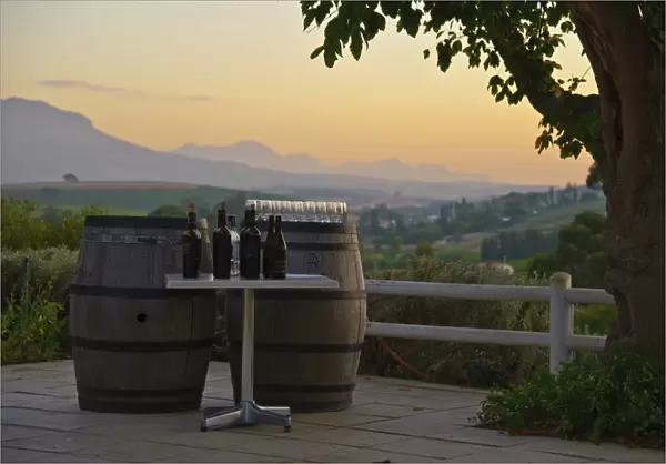 Wine casks and bottles on wine estate at sunset, Devon Valley, Stellenbosch, Western Cape, South Africa