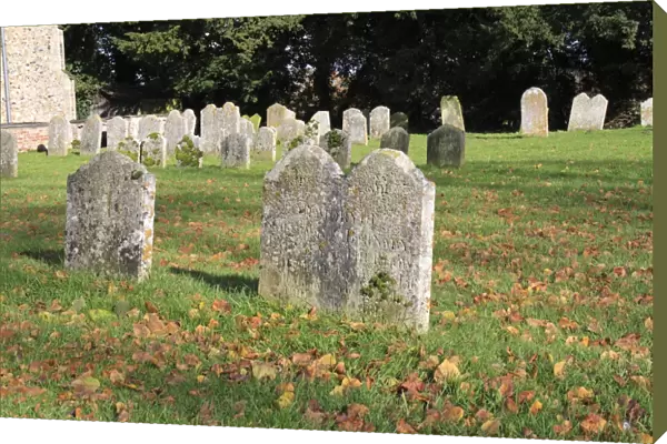 Headstones in church graveyard, with fallen leaves on grass, St. Marys Church, Mendlesham, Suffolk, England, november