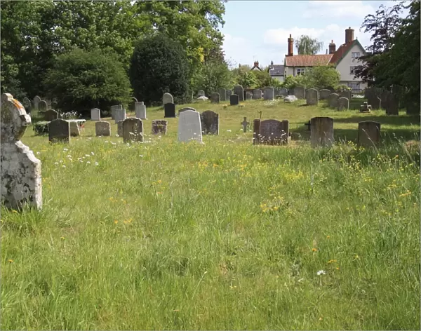 Long grass and wildflowers growing amongst headstones in churchyard conservation area, St