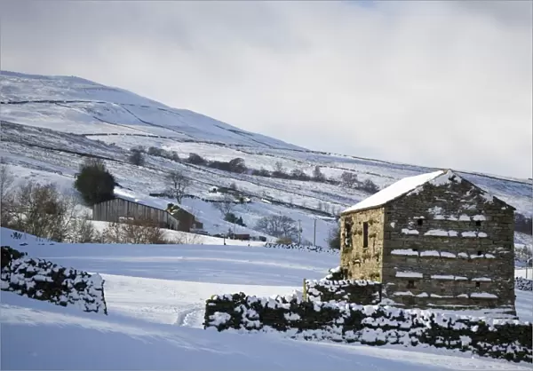 View of snow covered upland farmland with stone barn and drystone walls, near Gunnerside, Swaledale