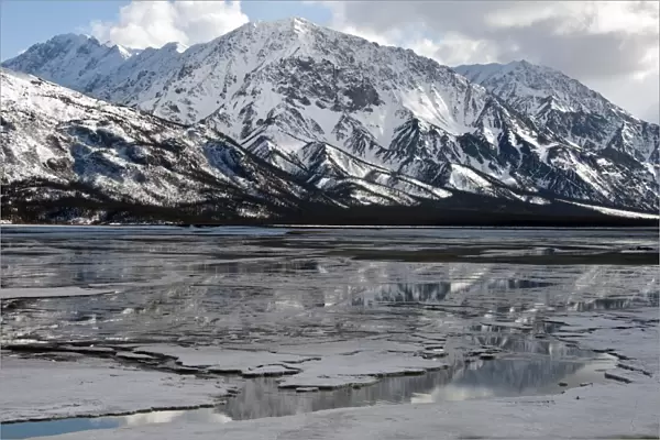 View of melting ice on lake and snow covered mountains, Kluane Lake, Kluane N. P. Yukon, Canada, april