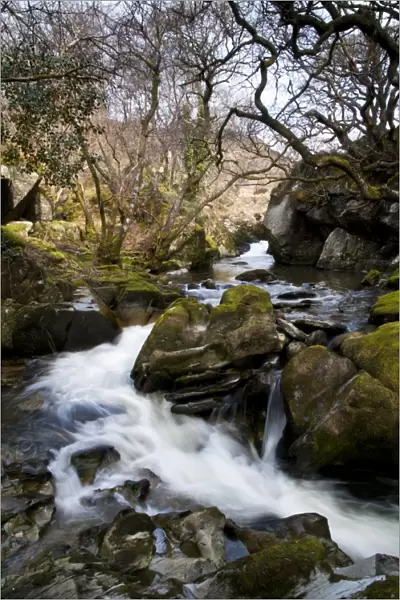 River cascades flowing around rocks, River Marteg, Gilfach Farm Nature Reserve, Rhayader, Radnorshire, Wales, april