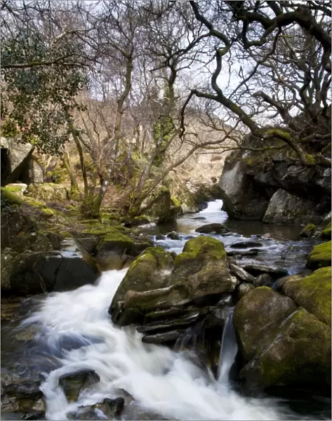 River cascades flowing around rocks, River Marteg, Gilfach Farm Nature Reserve, Rhayader, Radnorshire, Wales, april