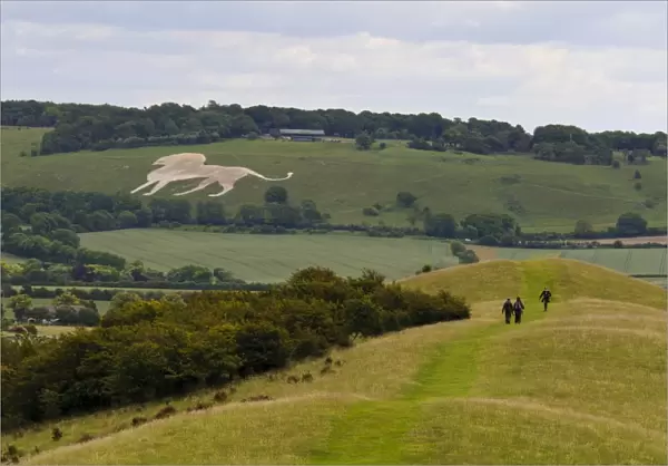 View towards White Lion chalk figure on hillside, with start of Ridgeway long-distance footpath in foreground
