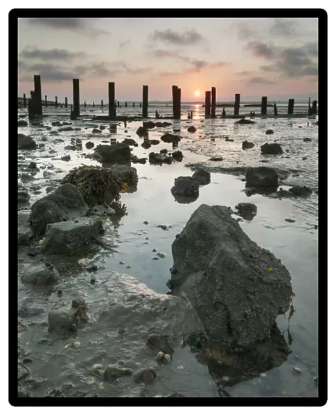 Beach and breakwaters at low tide, at sunset, South Swale Nature Reserve, Kent, England, July