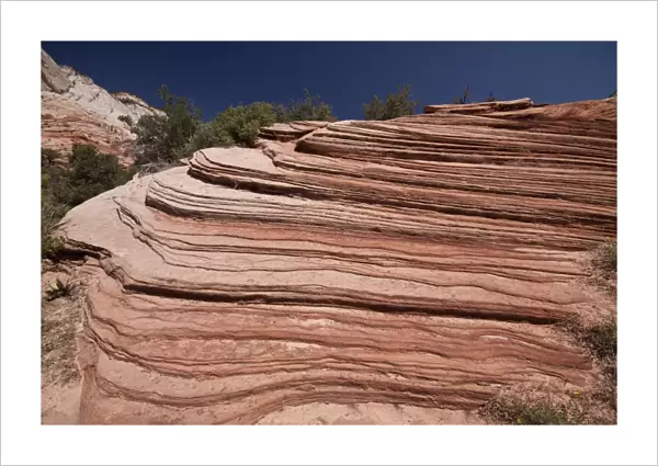 Navajo Sandstone is a wide spread geologic formation across the south west United States