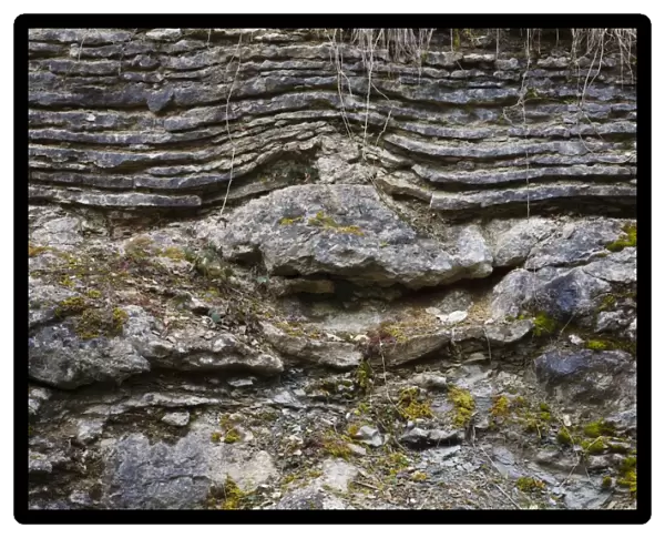 Silurian limestone in quarry, showing layered bedding over reef formation, Knowle Quarry, Wenlock Edge, Shropshire